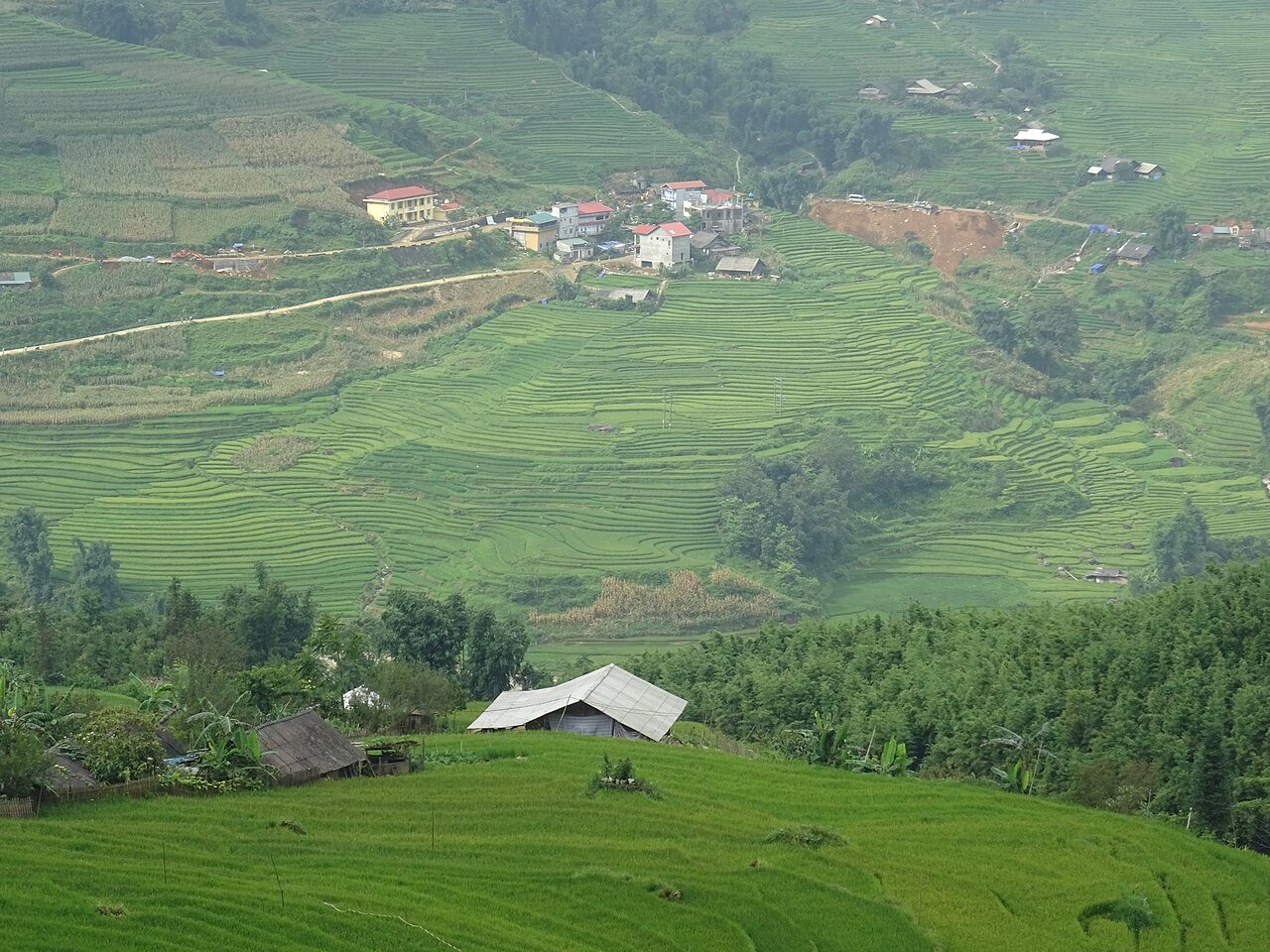 Grüne Reisterassen und Dörfer im Tal in der Nähe von Sa Pa