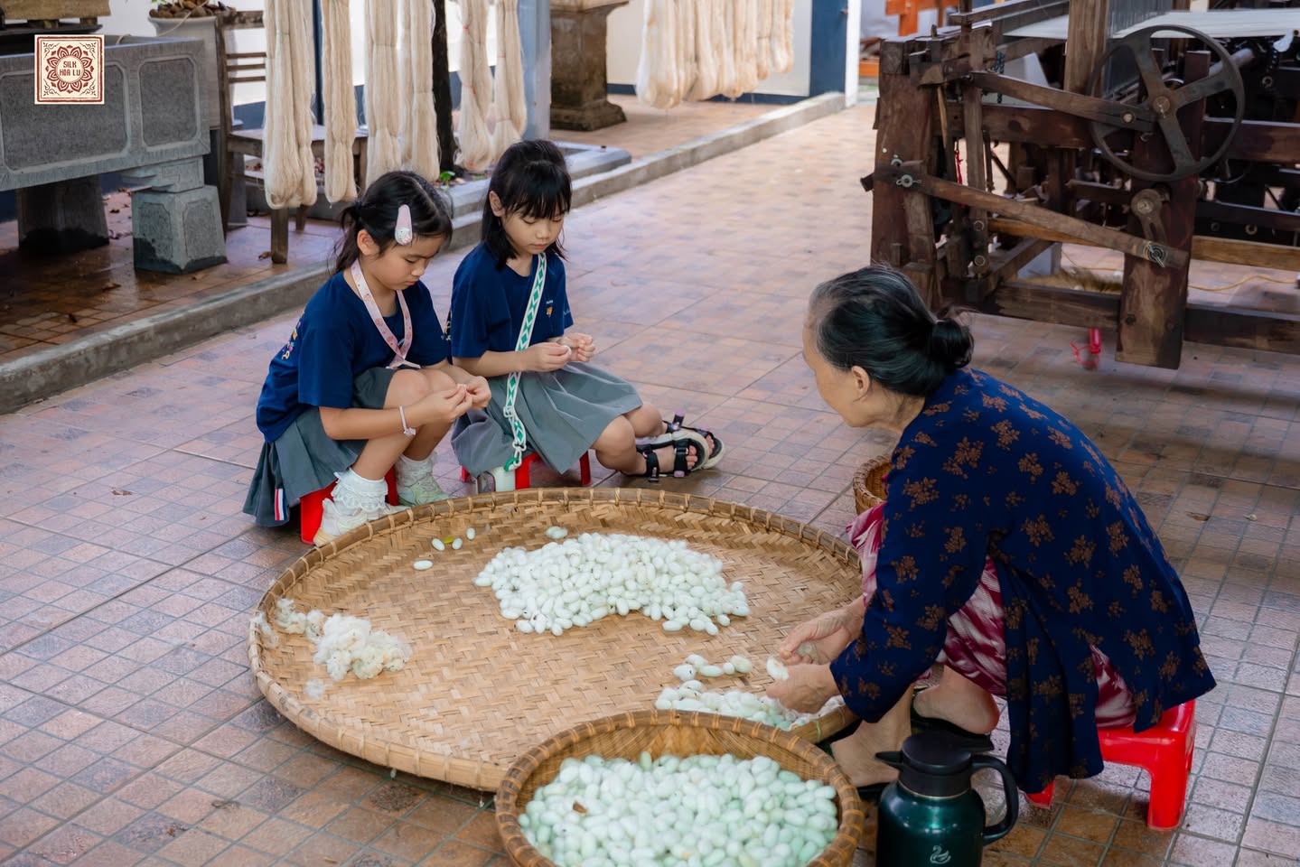 Kinder sortieren Seidenkokonnen mit ihrer Großmutter in Silk Hoa Lu Ninh Binh