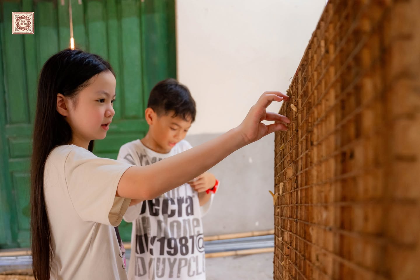 Kinder, die Seidenraupen bei der Werkstatt Silk Hoa Lu in Ninh Bình anfassen
